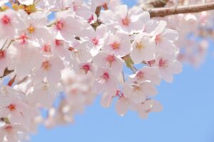 岡山　春　外壁塗装　時期